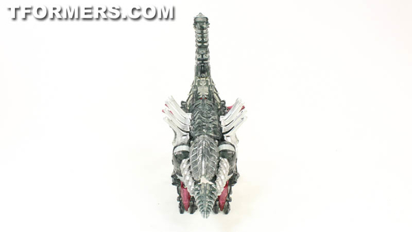 TF4 Dinobots Platinum Edition Unleashed Shared BBTS Exclusive 5 Pack  (61 of 87)